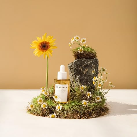 Product photography by @_exp.plus_ | Instagram Spring Season Photography, Set Design Photography, Retail Display Shelves, Commercial Photography Product, Botanical Fashion, Hand Photography, Perfume Photography, Candles Photography, Flower Installation