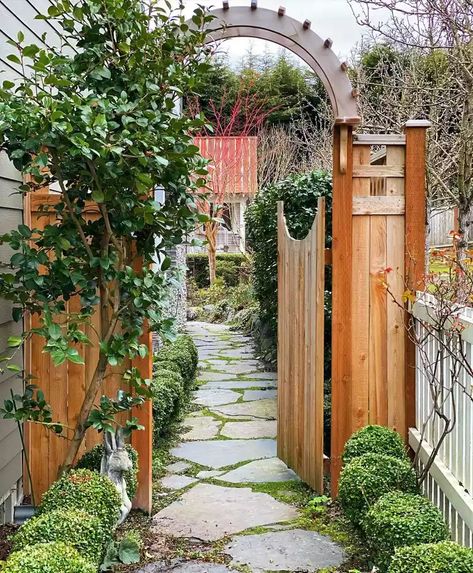 25 Side Yard Ideas to Make the Most of Unused Space Camellia Hedge, Side Yard Ideas, Side Yard Gate, Kid Friendly Backyard, Backyard Gates, Yard Gate, Garden Gate Design, Side Yard Landscaping, Family Backyard