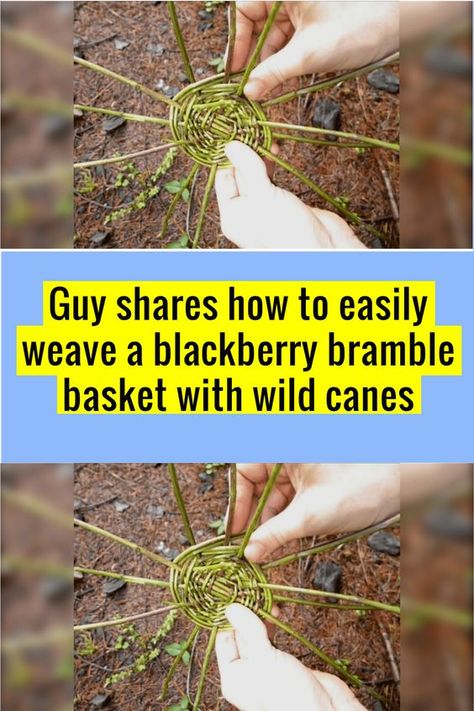 Bramble Basket, Blackberry Bramble, Cane Baskets, How To Weave, Wow Facts, Amazon Gift Card Free, Bramble, Amazon Gift Cards, Amazon Gifts