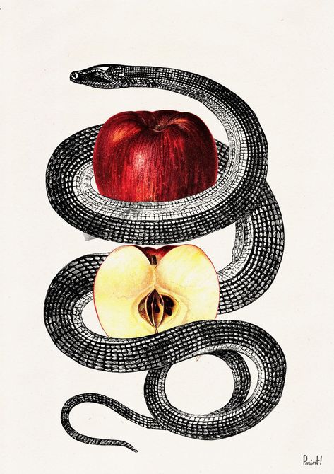 Snake And Apple, Red Temptation, Apple Tattoo, Apple Art, Snake Art, Owl City, Apple Prints, 다크 판타지, Snake Tattoo