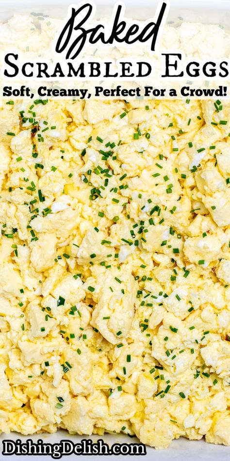 Baked Scrambled Eggs are the perfect way to feed a large crowd, made with only 5 simple ingredients and ready in under 45 minutes! Easy Eggs For A Crowd, Oven Scrambled Eggs For A Crowd, Egg Bake For A Crowd, Scrambled Eggs For A Crowd, Baked Scrambled Eggs, Eggs For A Crowd, Oven Scrambled Eggs, How To Make Eggs, Food Buffet