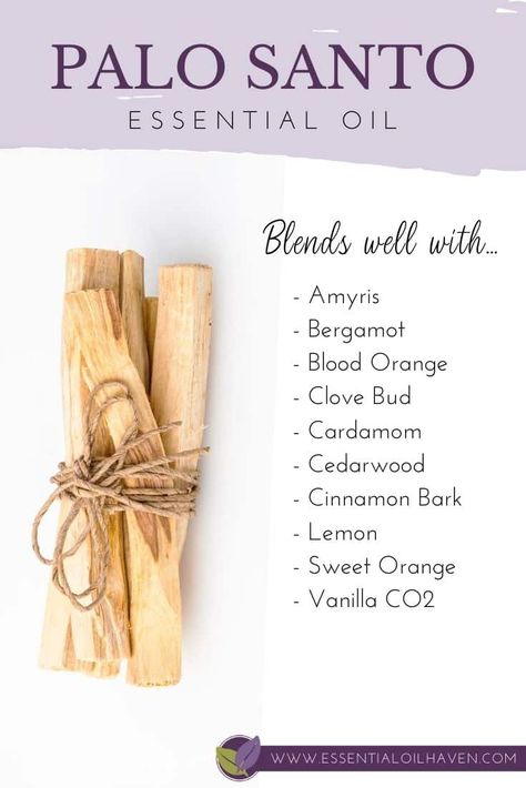 blending palo santo eo Palo Santo Benefits, Oils For Health, Countries In South America, Palo Santo Essential Oil, Wild Tree, Copaiba Essential Oil, Wellness Board, Frankincense And Myrrh, Essential Oils Business