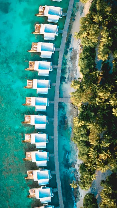 Dhigali Maldives, Maldives Hotels, Water Hotel, Resort Design Plan, Maldives Luxury, Underwater Hotel, Bahamas Resorts, Floating Architecture, Maldives Hotel