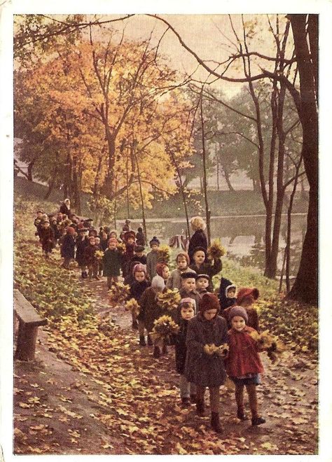 Tis Autumn, Autumn Inspiration, Field Trip, Vintage Photography, Back In The Day, Childhood Memories, Vintage Photos, Autumn Leaves, Persona