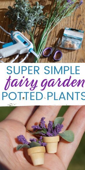 Miniature potted plants for fairy gardens- great fairy garden ideas and accessory. Easy DIY for indoor or outdoor miniature garden! Miniature Fairy Garden Diy, Pots Of Flowers, Tiny Pots, Kids Fairy Garden, Fairy Garden Pots, Indoor Fairy Gardens, Fairy Garden Ideas, Fairy Garden Plants, Fairy Garden Furniture