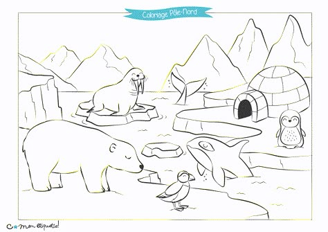 Téléchargez et imprimez gratuitement cette scène hivernale pour faire découvrir les animaux du Pôle Nord à vos loulous!Retrouvez nos coloriages sur le blog. Polar Animals Preschool, North Pole Animals, Arctic Animals Preschool, Winter Animal Crafts, Winter Activities Preschool, Pole Nord, Polar Animals, Animals Coloring Pages, Winter Preschool