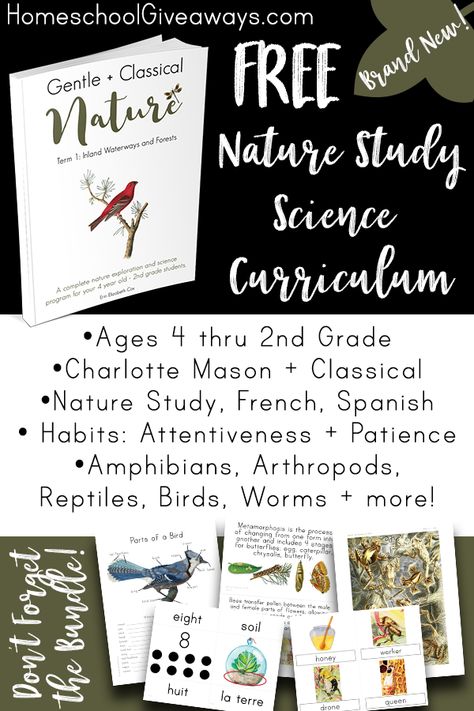 FREE Charlotte Mason Nature Study curriculum! It was created to be both CM and Classical with memorization, nature study, poetry recitation, handicrafts, and more. This BRAND NEW program is 120 pages of goodness, encouragement, and amazing resources. Charlotte Mason Curriculum, Study Science, Homeschool Nature Study, Charlotte Mason Homeschool, Montessori Method, Nature School, Homeschool Education, Classical Education, Nature Life