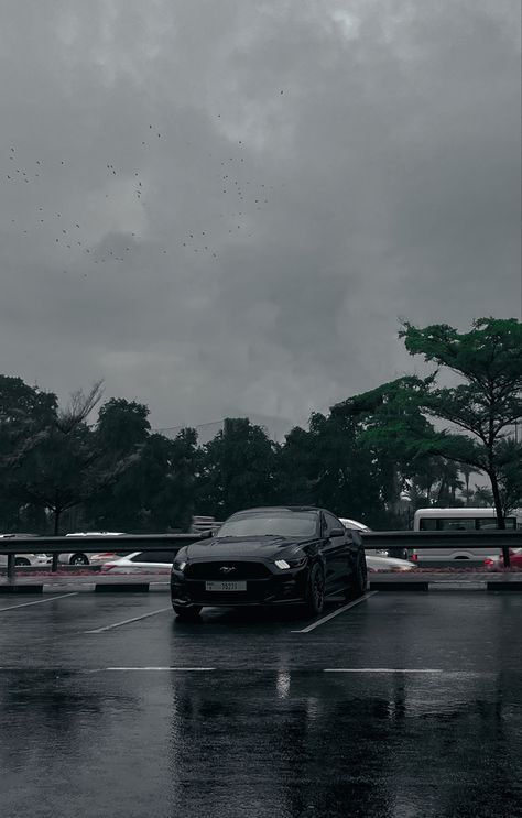 #mustang #s550 #musclecar #black #rain #dubai Blacked Out Mustang, Mustang S550, Black Mustang, Pouring Rain, Black Rain, Wallpaper Green, Beautiful Bike, Cars 2, Pretty Cars