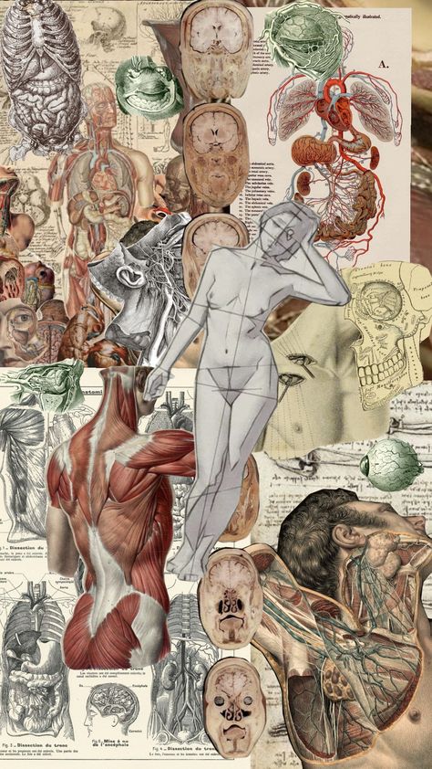 #medical #body Body Anatomy Aesthetic, Human Body Anatomy Aesthetic, Human Anatomy Aesthetic, Physiology Aesthetic, Anatomy Aesthetic, Human Body Anatomy, Anatomy Sketches, Sprained Ankle, Vintage Medical