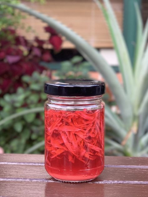 Pineapple Vinegar, Sage Uses, Sage Recipes, Ripe Pineapple, Herb Garden In Kitchen, Pineapple Sage, Sweet Flowers, Garden Recipes, Herbaceous Perennials