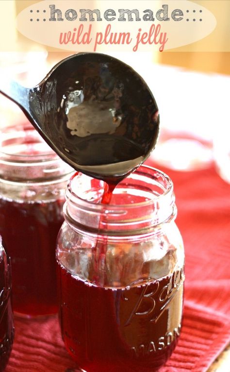 Homemade Wild Plum Jelly- Perfect on a slice of homemade bread! Wild Plum Syrup Recipe, Wild Plum Jelly Recipe, Plum Recipes, Jam Recipes Homemade, Plum Jam, Homemade Jelly, Jam And Jelly, Jelly Recipes, Homemade Jam