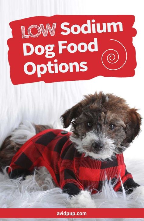 Low Sodium Dog Food Options, Best Picks (5 dry & 2 canned) Low Sodium Dog Treats, Low Sodium Dog Food Recipes, Kidney Friendly Dog Food Recipes, What Can I Add To My Dogs Dry Food, Dry Dog Food Add Ins, Low Sodium Foods, Sodium Free Recipes, Homemade Dog Food For Kidney Problems, Sodium Foods