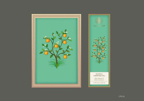 Manav Sachdev, Forest Essentials retail package illustrations Diwali Gift Box, Forest Essentials, Luxury Invitation, Instagram Prints, Premium Brand, Sweet Box, Forest Design, Wedding Card Design, Hair Care Products