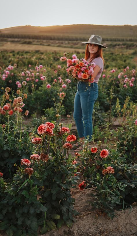 Dahlia Farm Photoshoot, Flower Farmer Aesthetic, Flower Farmer Photoshoot, Dahlia Photoshoot, Flower Farm Photoshoot, Farming Flowers, Dahlia Farm, 2025 Inspiration, Dahlia Flower Garden