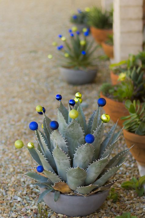 Desert Christmas Decorations, Desert Christmas Decor, Southwest Christmas Decor, Kersfees Idees, Arizona Christmas, Desert Christmas, Southwest Christmas, Cactus Christmas, African Christmas