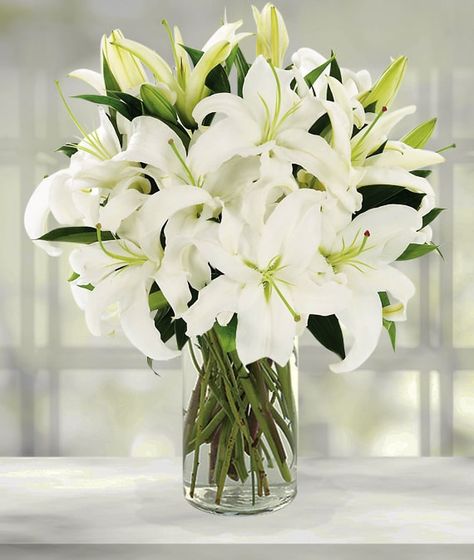 White Lily Bouquet, Lily Pictures, White Lily Flower, Lilly Flower, Lily Bouquet, Easter Lily, Flower Store, White Lily, Flowers For You