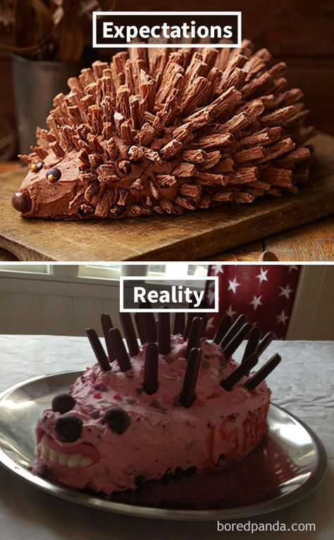 Expectations Vs Reality: 10+ Of The Worst Cake Fails Ever Porcupine Cake, Baking Fails, Bad Cakes, Cooking Fails, Ugly Cakes, Hedgehog Cake, Cake Fails, Fail Nails, Food Fails