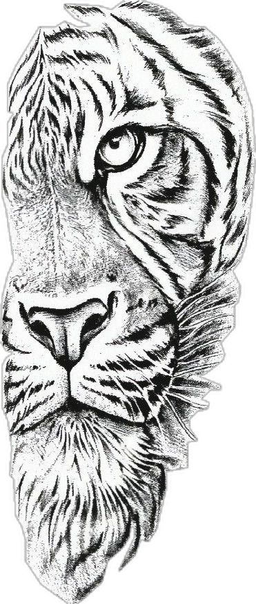 Miracle Tattoo, Daniel Tattoo, Calf Tattoos For Women, Chest Tattoo Stencils, Half Sleeve Tattoo Stencils, Big Cat Tattoo, Back Tats, Card Tattoo Designs, Aztec Tattoo Designs