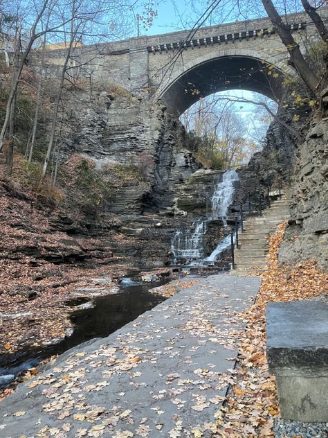 picture of a gorge covered in brown leaves. the water flows downward into a stream under a bridge. Ithaca College Aesthetic, Ithaca New York Aesthetic, Ithaca Aesthetic, Upstate Ny Aesthetic, Cornell University Aesthetic, Upstate New York Aesthetic, Cornell Aesthetic, Ithaca College, Ithaca New York