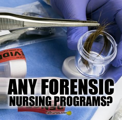 Learn about Forensic Nursing and where to find programs... Sane Nurse, Forensic Nursing, Forensic Nurse, Nursing Labs, Clinical Nurse Specialist, Clinical Nurse, Forensic Scientist, Nurse Rock, Nursing Programs