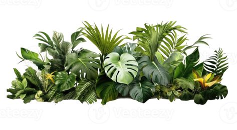 Tropical leaves, plants, bushes, natural floral arrangement . AI Generated Tropical Bushes, Tropical Plants Illustration, Decal Bloxburg, Png For Editing, Landscape Architecture Graphics, Plant Sketches, Radha Beauty, Texture Png, Brave Merida