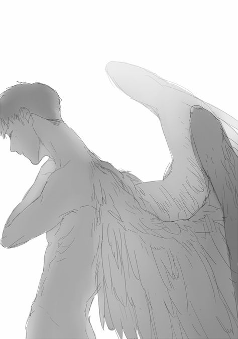 Harfang Wing Poses Reference, Angel Base Drawing, Wings Pose Reference, Person With Wings, People With Wings, Man With Wings, Winged Man, Winged People, Maximum Ride