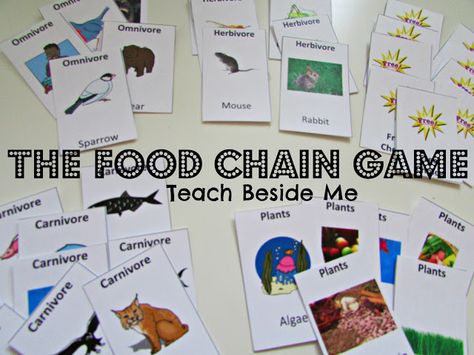 Free Printable Food Chain Game. (week 3)  May also be useful for Consumers (week 2). Food Chain Game, Science Food Chains, Free Science Printables, Food Chain Activities, Biology Ideas, Environmental Activities, Food Webs, Science Printables, Printable Food