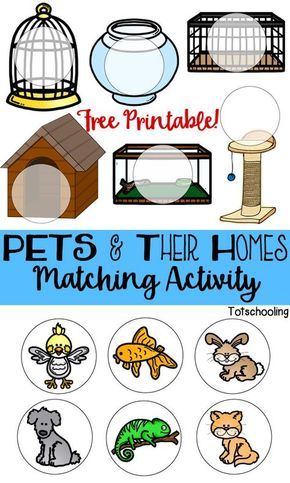 FREE printable game for toddlers and preschoolers to match pets with their cages or homes. Great for language development and learning about animals. Pets And Their Homes Matching Activity, Pets Lesson Plans For Toddlers, Preschool Pets Unit, Preschool Pet Activities, Preschool Pets, Preschool Freebies, Pet Study, Pet Theme, Pets Preschool Theme