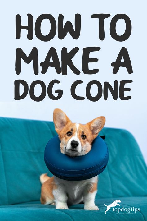 Soft Cone For Dogs, Dog Surgical Collar Diy, Diy Pet Cone Dogs, Pool Noodle Dog Cone Diy, Pet Cone Alternative, Cones For Dogs Homemade, Pool Noodle For Dog Cone, Alternatives To Cones For Dogs, Diy E Collar For Dogs