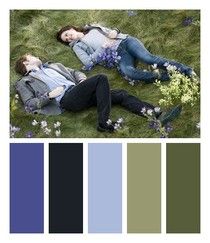 Twilight Aesthetic Color Palette, Twilight Colors Palette, Prom Color Palette, Twilight Colour Palette, Twilight Homescreen, Meadow Twilight, Twilight Color Palette, Twilight Meadow, Twilight Color