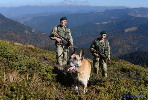 Border #guards #protect #Ukraine's state #border in the #mountainous region of #Transcarpathia / Photo: Markiyan Lyseiko #DOG Ukraine Warrior, Armenian Gampr Dog, Ukraine Foreign Legion, Military Ukraine, Carpathian Mountains Ukraine, Ukraine, Natural Landmarks, Dogs, Travel