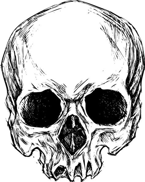 Jawless Skull Drawing, Skull Ink Drawing, Skull Illustration Artworks, Skull Head Drawing, Vector Art Tattoo, Sideways Skull, T Shirt Design Ideas Art, Skull Vector Art, Skull Line Art