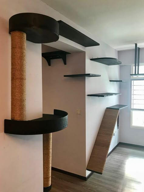 Catification: Projects — The Cat People (SG) Catification Ideas Diy, Cat Wall Ideas, Cat Walls, Diy Cat Shelves, Cat Rooms, Cat Room Ideas, Cat Room Decor, Catio Ideas, Cat Climbing Wall