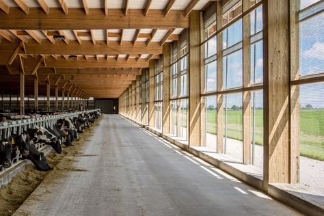 Lester Buildings Pole Barn – Dairy Barn. Lester Building #513136 Modern Dairy Farm, Show Cattle Barn, Poultry Farm Buildings, Pole Barn Builders, Lester Buildings, Steamboat Colorado, Cool Sheds, Livestock Barn, Post Frame Construction