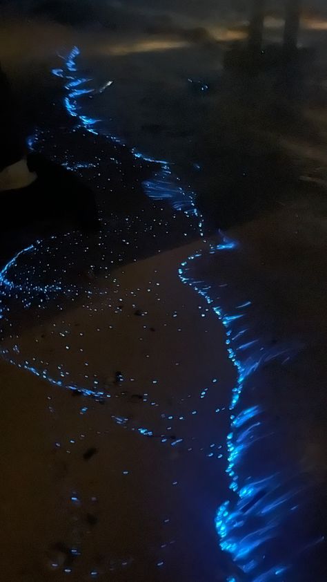 Starry Beach Maldives, Bioluminescence Beach Aesthetic, Midnight Zone Ocean, Glowing Beaches, Glowing Algae, Bioluminescence Beach, Bioluminescence Aesthetic, Sasha Core, Bioluminescent Algae