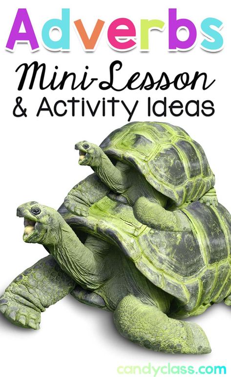 Adverbs Mini-Lesson & Activity Ideas Adverbs Second Grade, Teaching Adverbs 2nd Grade, Adverbs 3rd Grade, Adverb Activities 2nd Grade, Adverb Activities 4th Grade, Adverbs Activity, Teaching Adverbs, Adverbs Lesson, Adverb Activities