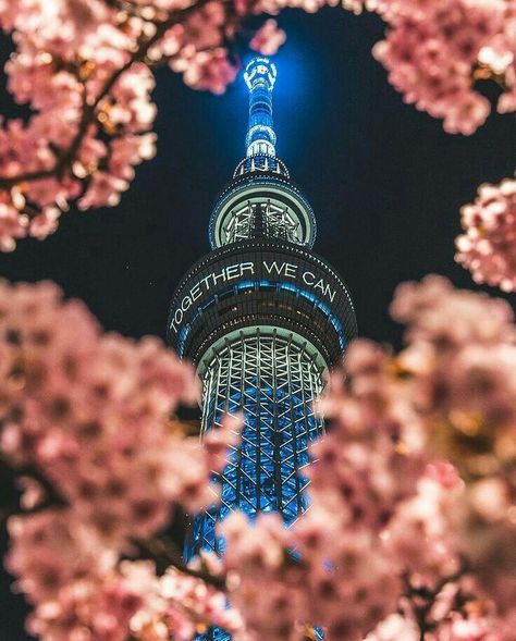 Korea Pictures, Phone Wallpaper Pastel, Namsan Tower, Seoul Korea Travel, Korea Wallpaper, Korean Photo, City Pictures, Phone Wallpaper For Men, Iconic Buildings