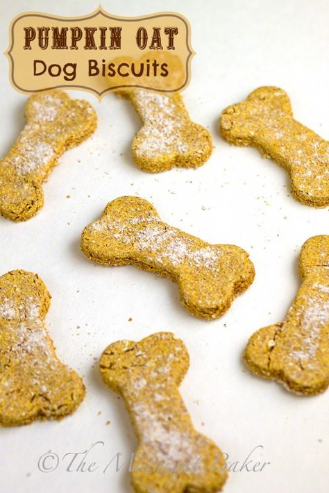 Pumpkin Oat Dog Biscuits | bakeatmidnite.com | #DogBiscuits #HomemadePetTreats #PumpkinDogBiscuits Pumpkin Dog Biscuits, Oat Biscuits, Homemade Pet Treats, Pet Recipes, Pumpkin Oats, Animal Treats, Dog Biscuits Homemade, Dog Biscuit Recipes, Doggy Treats