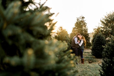 Maternity Tree Farm Pictures, Maternity Christmas Tree Farm, Christmas Tree Farm Pregnancy Reveal, Tree Farm Engagement Pictures, Christmas Tree Farm Couple Pictures, Tree Farm Maternity Photos, Christmas Tree Farm Photo Shoot Couple, Christmas Tree Farm Maternity Pictures, Tree Farm Photo Shoot Family