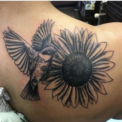 Love my new back piece! Sparrow Bird and my favorite flower ❤️still needs color but I love it! Sunflower and sparrow bird! Bird And Sunflower Tattoo, Bird Rocks, Bali Tattoo, Bird Tattoo Wrist, Sparrow Tattoo, Dove Tattoo, Dragon Sleeve Tattoos, Japanese Dragon Tattoos, Sparrow Bird