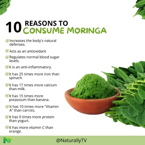 Health Benefits Of Moringa Powder, Motherwort Benefits, What Is Moringa, Natural Energy Booster, Moringa Recipes, Moringa Benefits, Moringa Seeds, Seeds Benefits, Miracle Tree