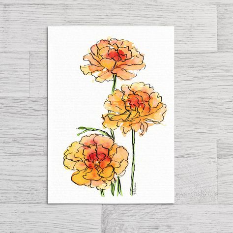 Fine Art Print - Watercolor Ranunculus - 11x14... Ink Drawing Watercolor, Watercolor Flowers Black Outline, Watercolor Pen Flowers, Marigold Watercolor Painting, Easy Painting Watercolor, Small Watercolor Ideas, Watercolor Marigolds, Watercolor Orange Flowers, Watercolor Marker Art