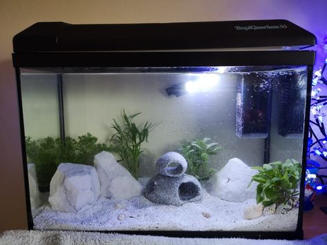 White Gravel Fish Tank, White Sand Fish Tank, Betta Fish Tank Aesthetic, Zen Aquarium, Aesthetic Fish Tank Ideas, Fish Tank Aesthetic, White Fish Tank, Kandang Hamster, Betta Fish Tank Ideas