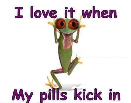 I need a double dose today! Wednesday Humor, Frog Pictures, Funny Frogs, A Frog, Shut Up, Bones Funny, Cute Quotes, I Love It, To Sleep