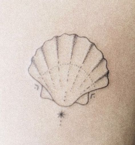 Shell Outline Tattoo, Shell Tattoos, Beach Icon, Stomach Tattoos, Sternum Tattoo, Rib Tattoo, Finger Tattoos, Future Tattoos, Tattoos And Piercings