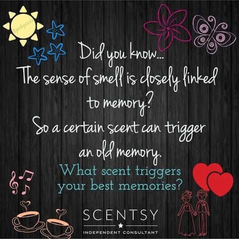 Scentsy Hacks, Scentsy Sale, Fragrance Families, Scentsy Banner, Scentsy Posts, Scentsy Pictures, Scentsy Consultant Business, Scentsy Games, Scentsy Facebook Party