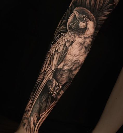 30 Adorable Parrot Tattoo Designs You will Love | Art and Design Nature Tattoo Realistic, Animal Tattoo Sleeve Realistic, Jungle Bird Tattoo, Realistic Animal Tattoo Design, Macaw Tattoo Black And White, Jungle Animal Tattoos, Jungle Tattoo Sleeve, Parrot Tattoos, Lovebird Tattoo