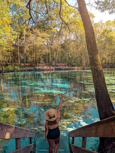 3 Sisters Springs Florida, Crystal River Manatees, Homosassa Springs Florida, Crystal River Florida Things To Do, Crystal Springs Florida, Three Sisters Springs Florida, Southern Getaways, Grey Lengha, Florida Trips