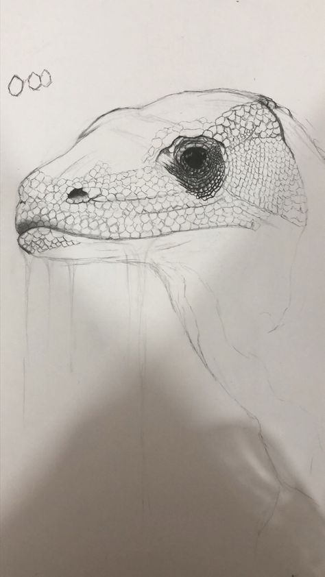 #art #sketch #komodo #dragon Komodo Dragon, Komodo, Dragon Drawing, Art Sketch, The Crystals, Ducks, Abstract Artwork, Sketch, Crystals