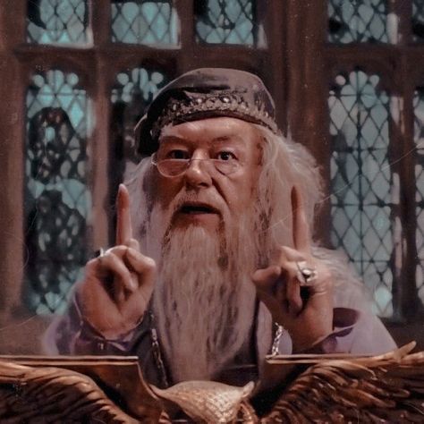 Harry Potter Dumbledore, Michael Gambon, Gryffindor House, Harry Potter Harry, Cute Harry Potter, Harry Potter Icons, Albus Dumbledore, Harry Potter Wallpaper, We Movie